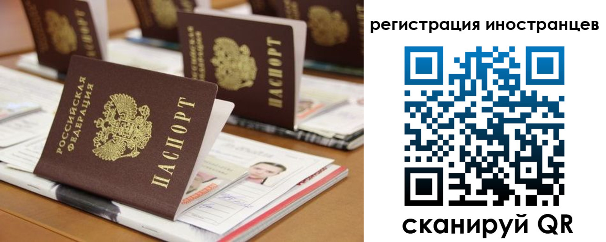 пропишу в квартире в Белгородской области